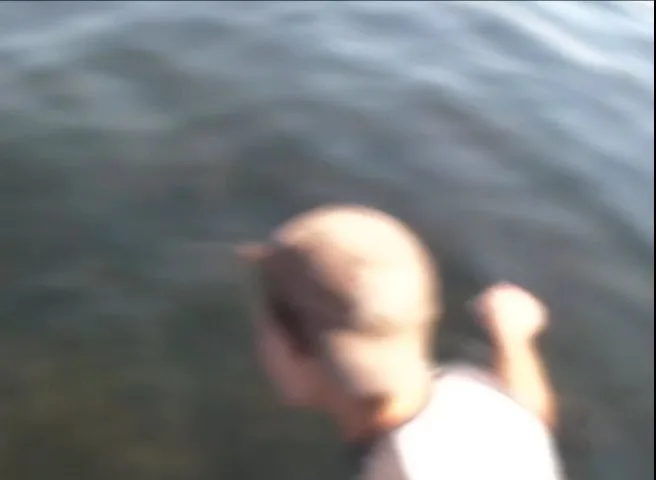 Cayuga